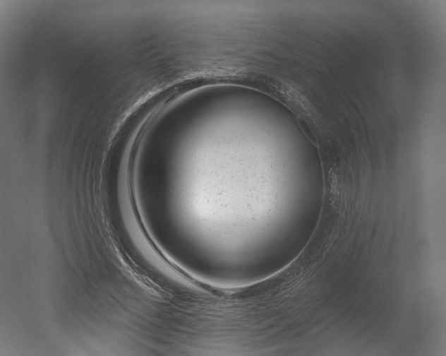 X0000052930684200507151617