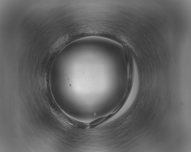 X0000052930685200507151617