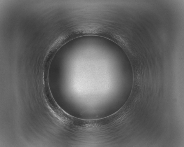 X0000052930686200507151617