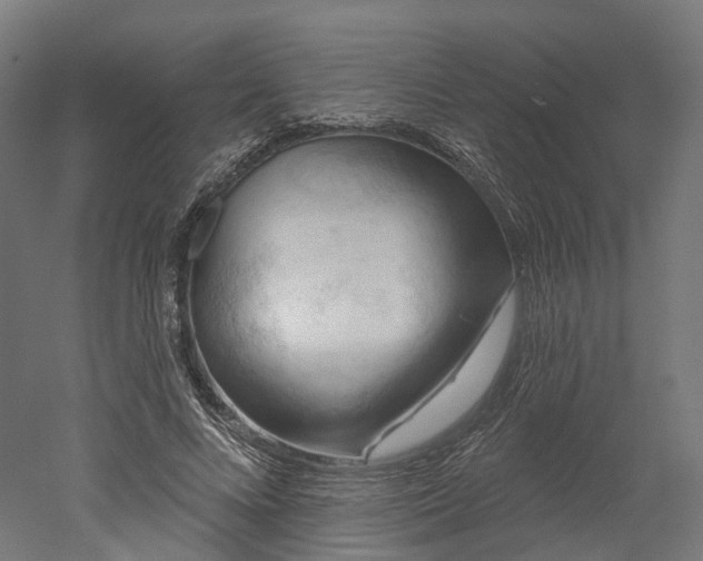 X0000052930688200507151617