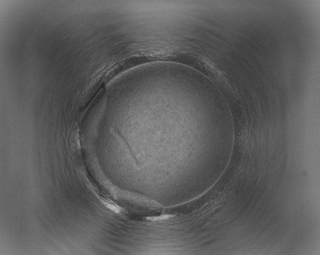 X0000052930689200507151617