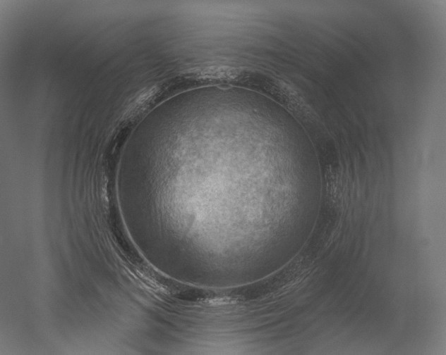 X0000052930692200507151617