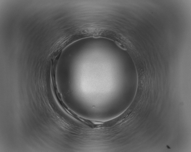 X0000052930693200507151617