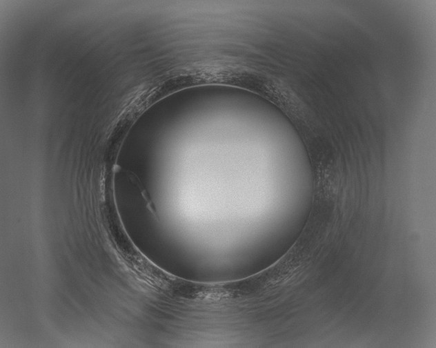 X0000052930694200507151617