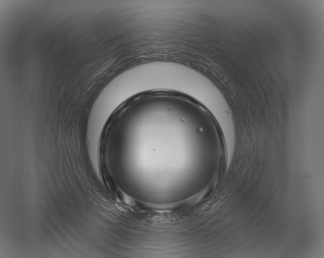 X0000052930697200507151617