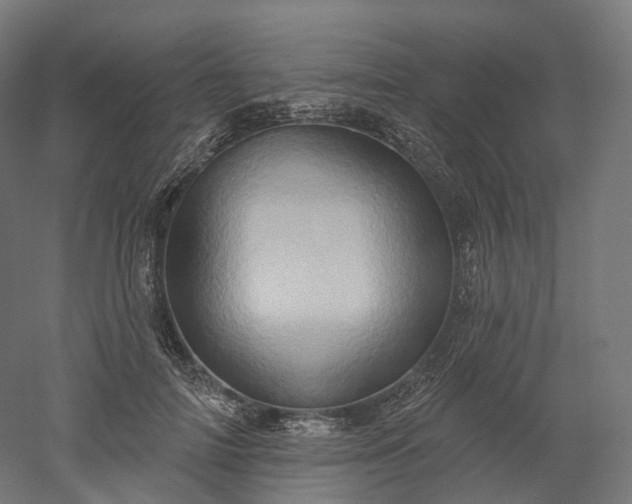X0000052930698200507151617