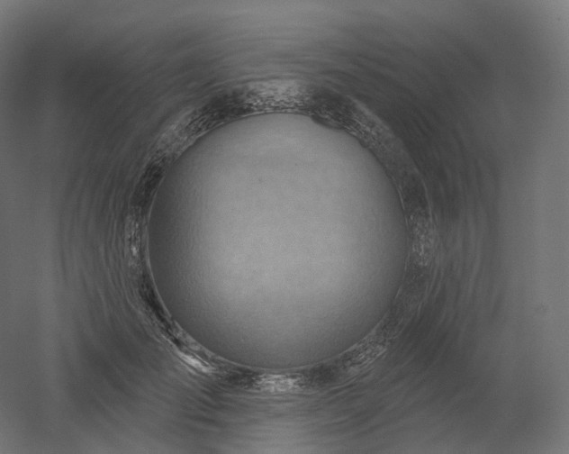 X0000052930701200507151617