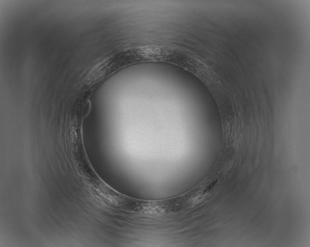 X0000052930702200507151617