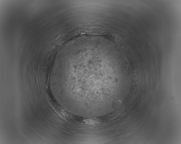 X0000052930703200507151617