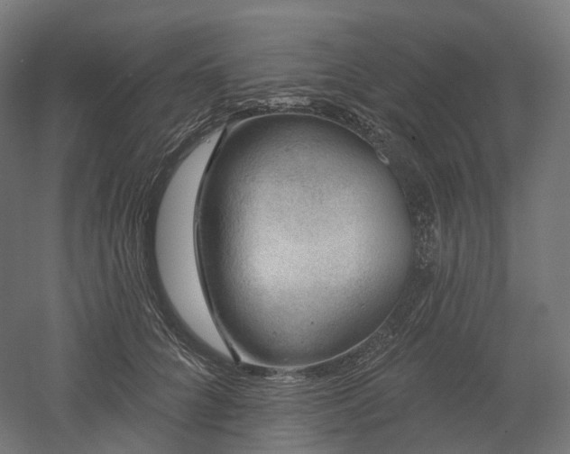 X0000052930704200507151617