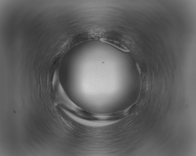 X0000052930712200507151617