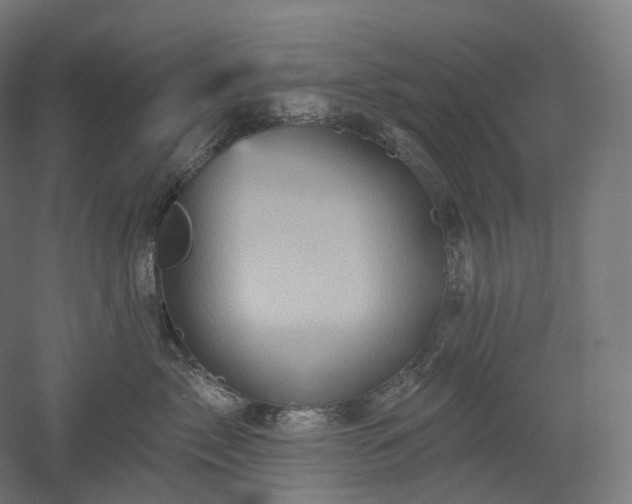 X0000052930717200507151617