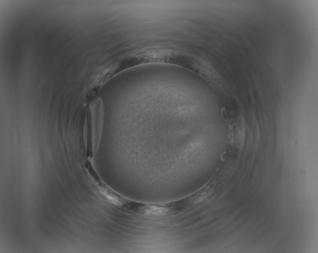 X0000052930718200507151617