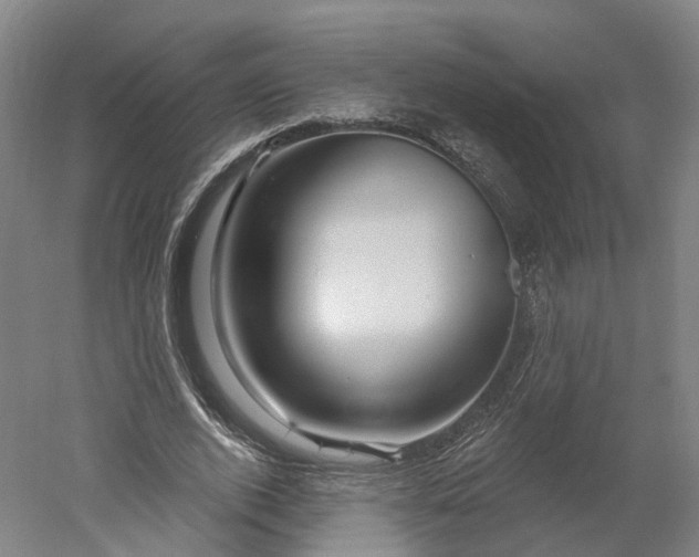 X0000052930728200507151616