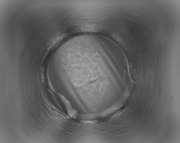 X0000052930731200507151616