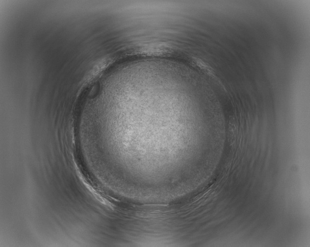 X0000052930734200507151616