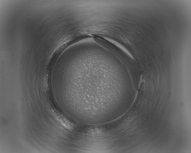 X0000052930735200507151616