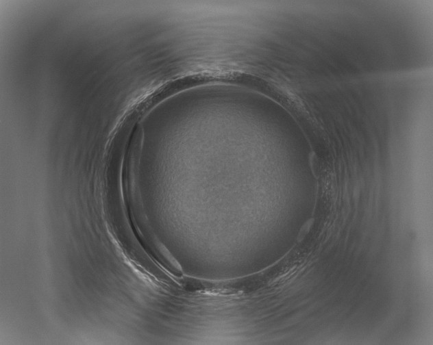 X0000052930736200507151616