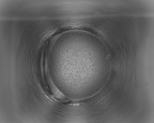 X0000052930740200507151616