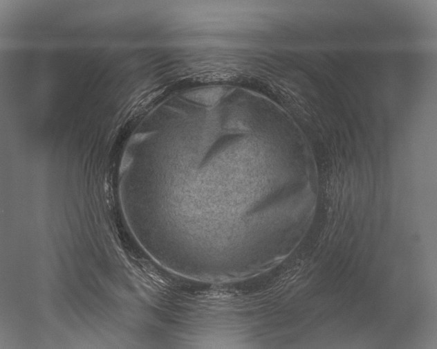 X0000052930743200507151616