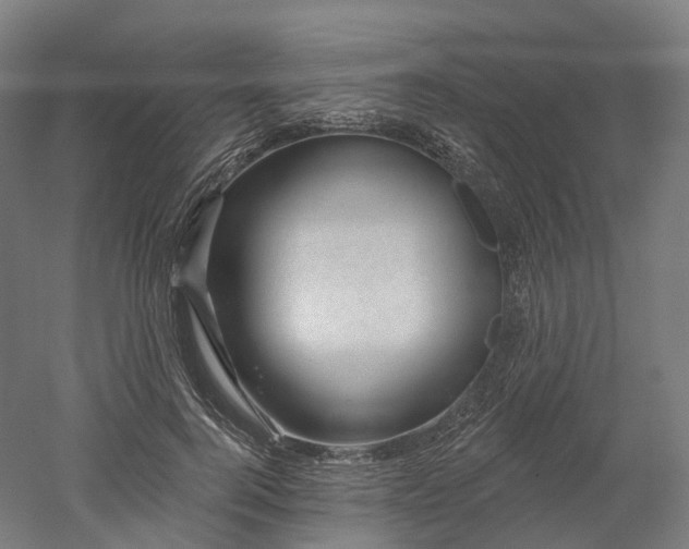 X0000052930744200507151616