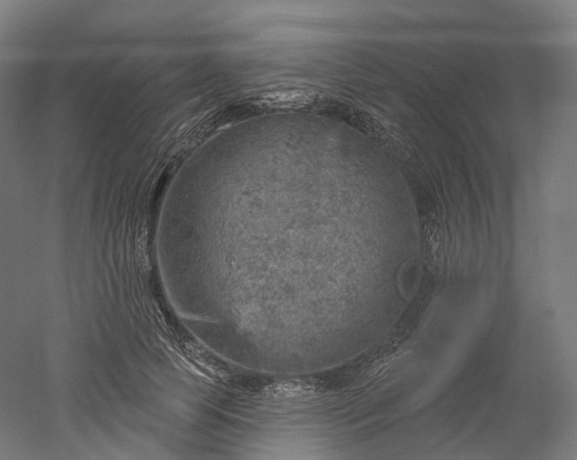 X0000052930745200507151616