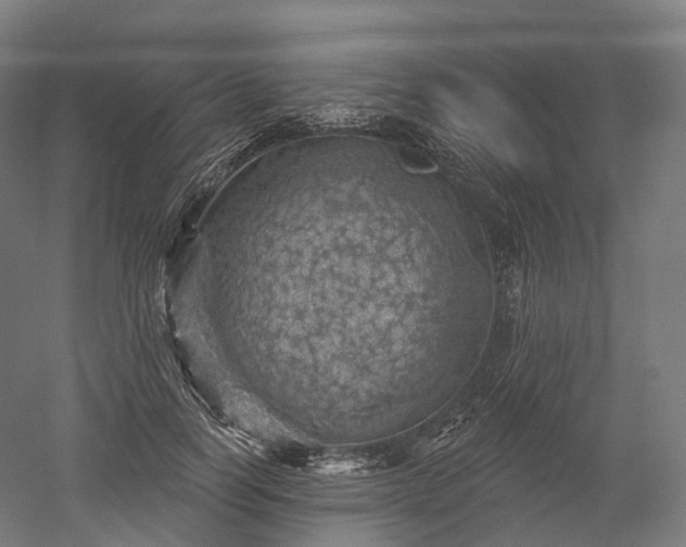 X0000052930746200507151616