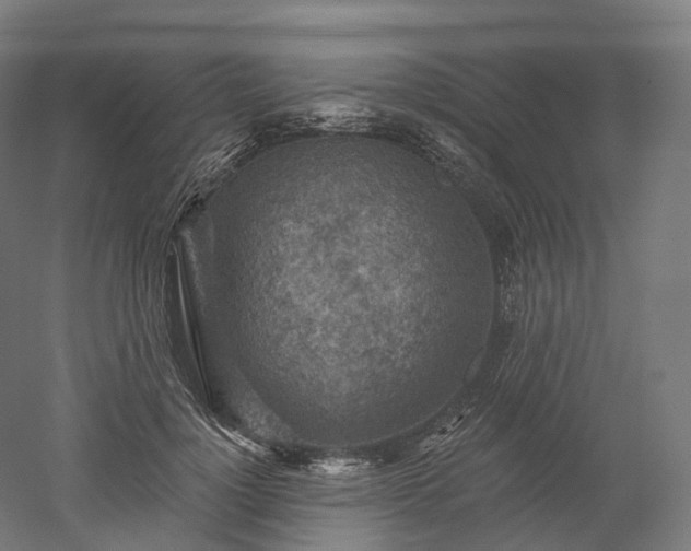 X0000052930748200507151616