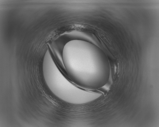 X0000052930750200507151616