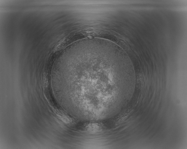 X0000052930751200507151616