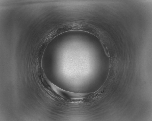 X0000052930752200507151616