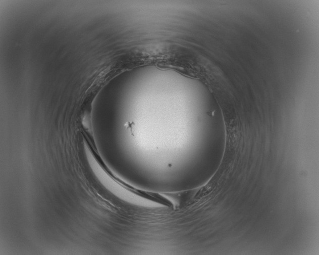 X0000052930756200507151616