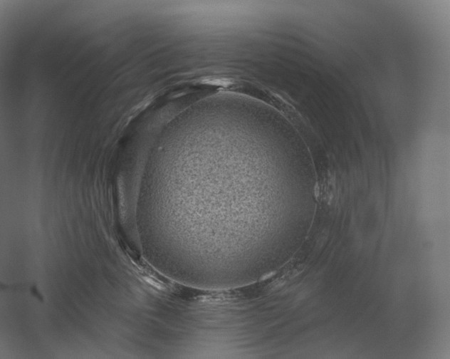 X0000052930763200507151616