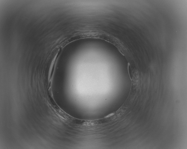 X0000052930764200507151617