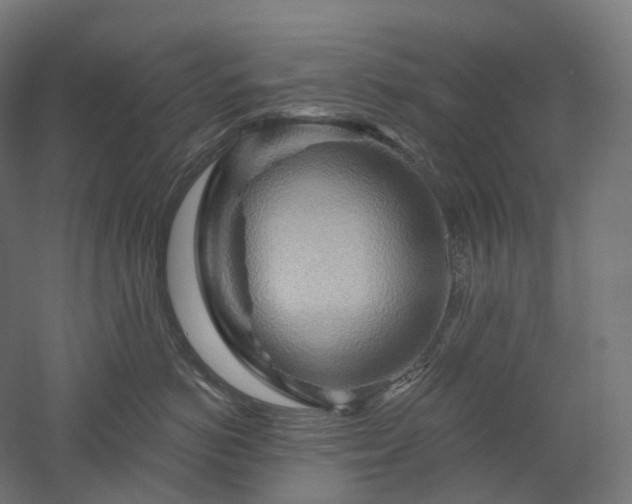 X0000052930766200507151617