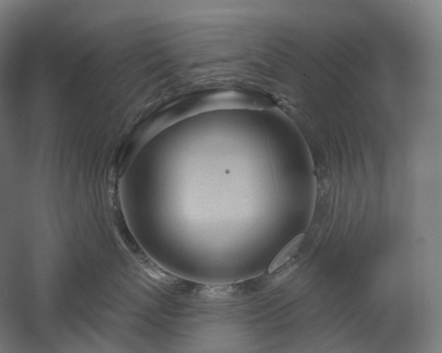 X0000052930767200507151617