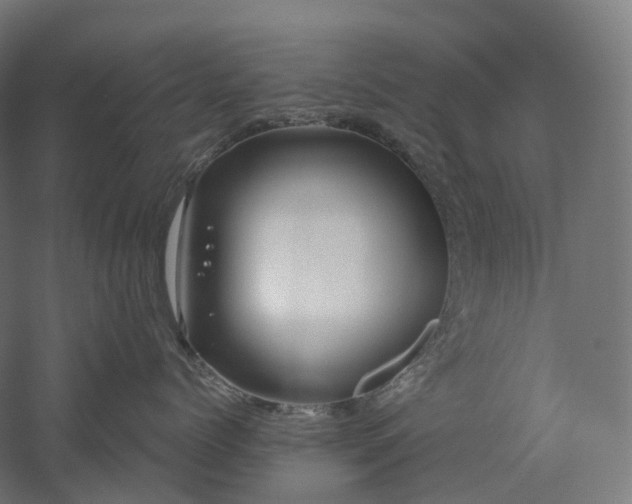 X0000052930768200507151617