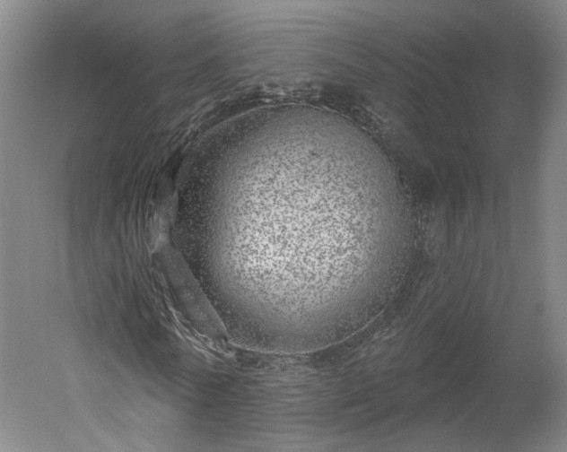 X0000052930770200507151616