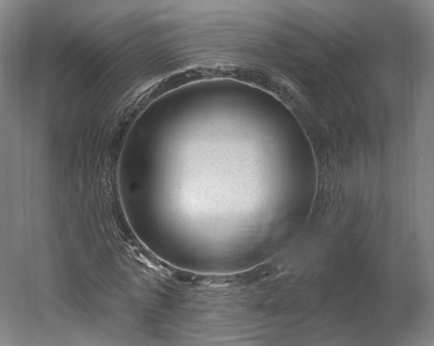 X0000052930773200507151616