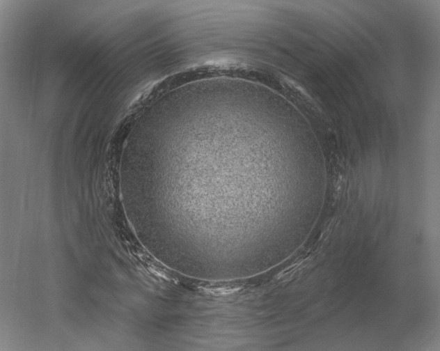 X0000052930776200507151616