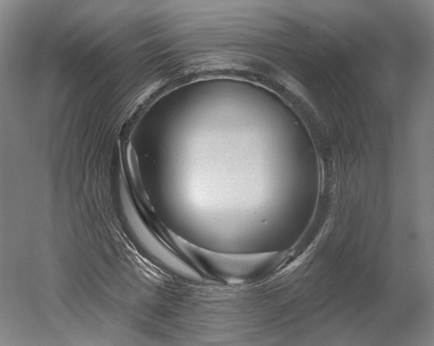 X0000052930777200507151616