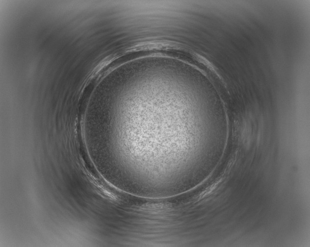 X0000052930778200507151616