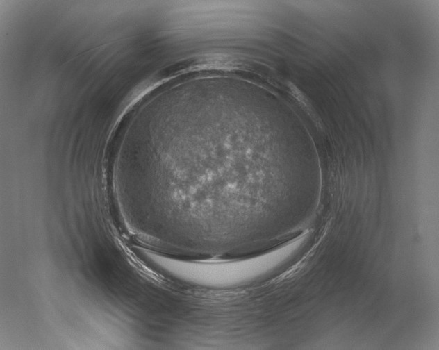 X0000052930779200507151616