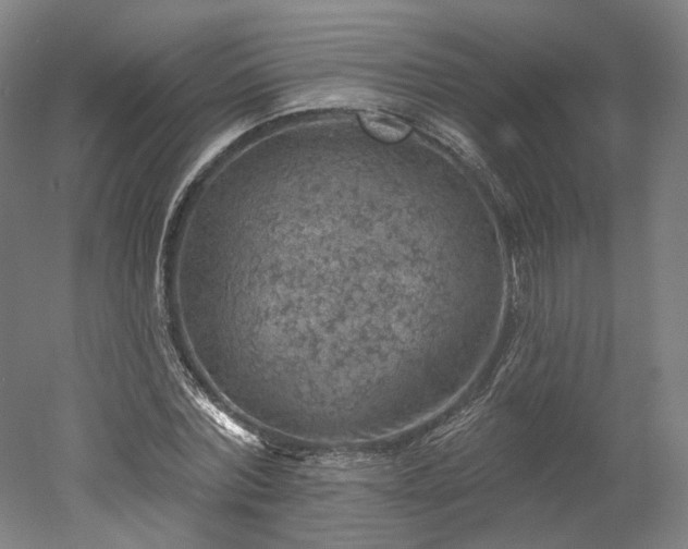 X0000052930780200507151616