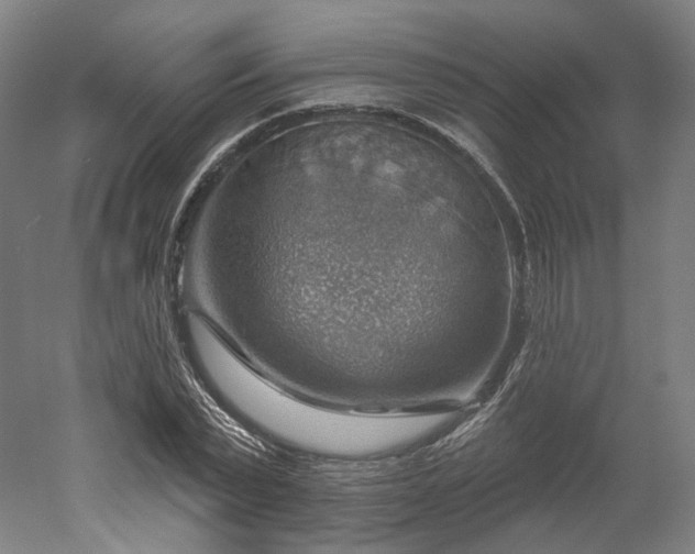 X0000052930783200507151616