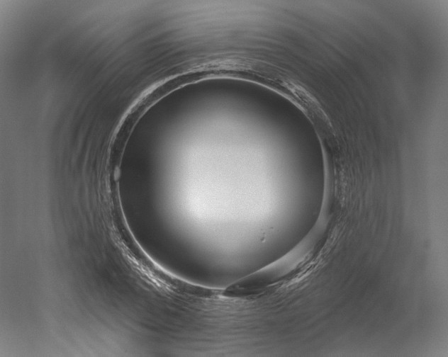 X0000052930784200507151615