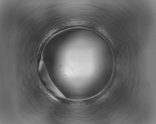 X0000052930786200507151615