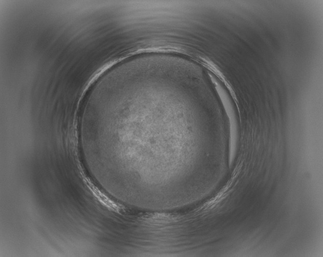 X0000052930787200507151615