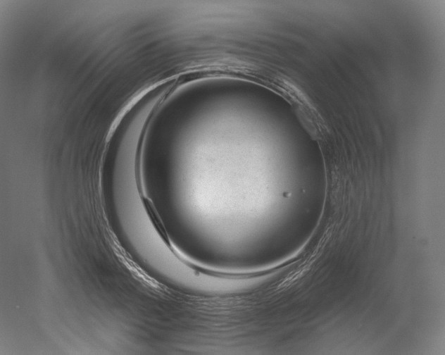 X0000052930788200507151615