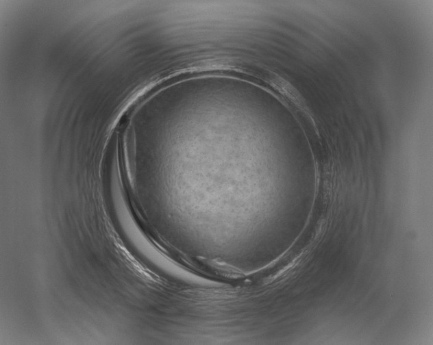 X0000052930789200507151615